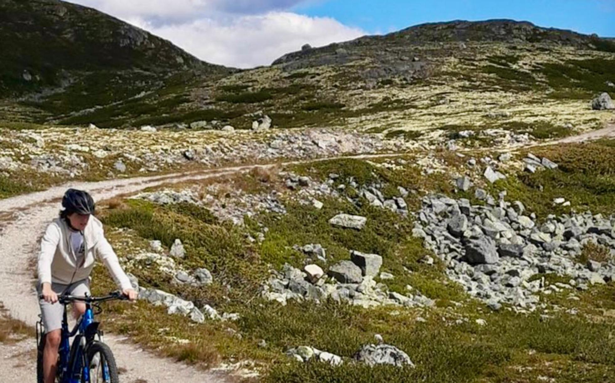 Mountain Retreat In Uvdal Wifi Sauna Eksteriør billede
